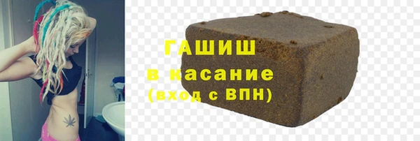 шишки Магас