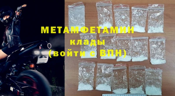 шишки Магас