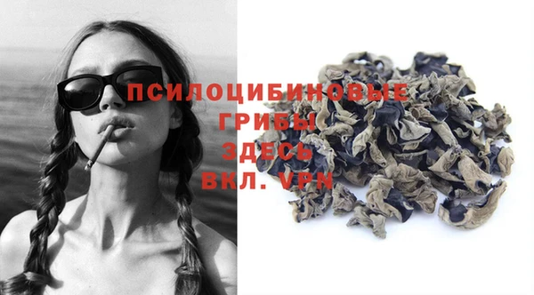 шишки Магас