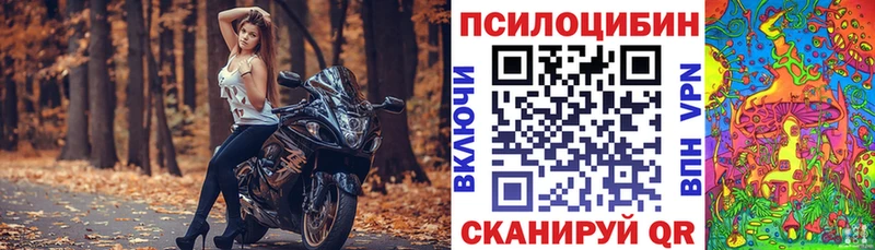 Псилоцибиновые грибы мицелий Иноземцево